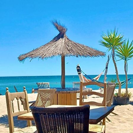 T3 Grande Terrasse Bord De Mer Ле Баркарес Экстерьер фото